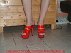 cliquez ici pour voir l'image (DSCF0048.JPG)
