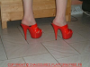 cliquez ici pour voir l'image (DSCF0049.JPG)