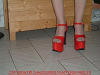 cliquez ici pour voir l'image (DSCF0145.JPG)