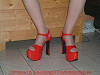 cliquez ici pour voir l'image (DSCF0146.JPG)