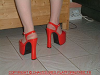cliquez ici pour voir l'image (DSCF0150.JPG)