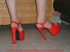 cliquez ici pour voir l'image (DSCF0157.JPG)
