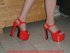 cliquez ici pour voir l'image (DSCF0158.JPG)